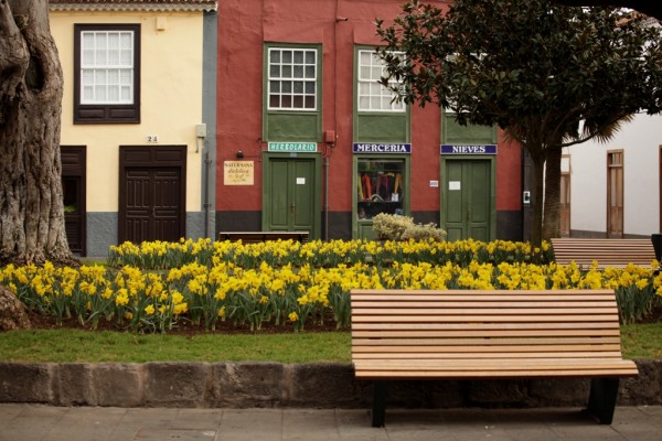 La Laguna 2