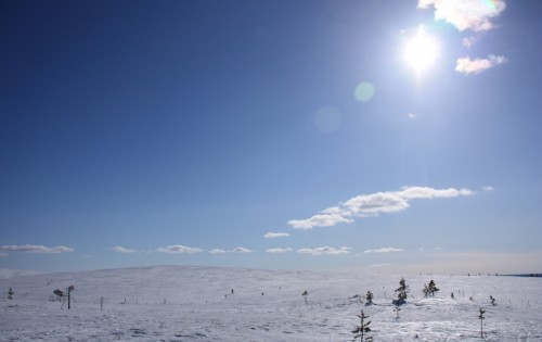 aurinko