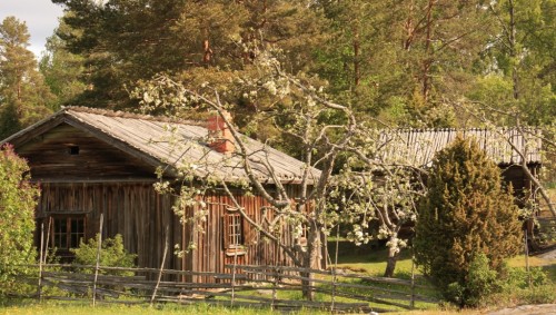 Paikkarin torppa Sammatissa