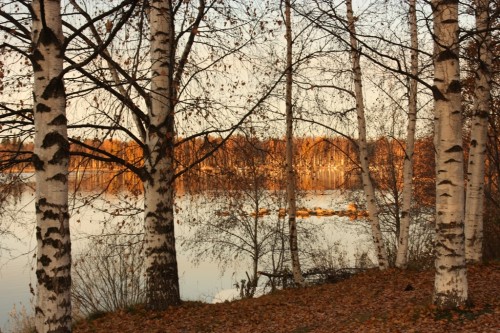 pyhainpaivanaamuna pyhainpaivanaamuna