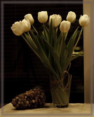 tulppaanit
