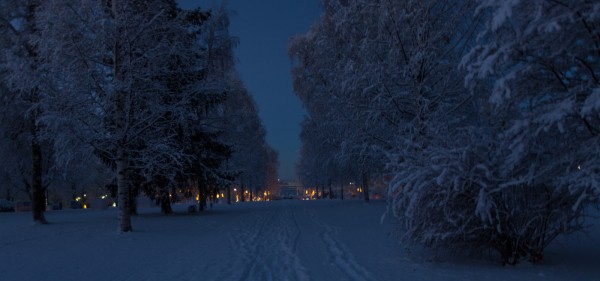Winter wonderland-2