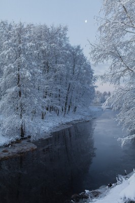 Winter wonderland-7