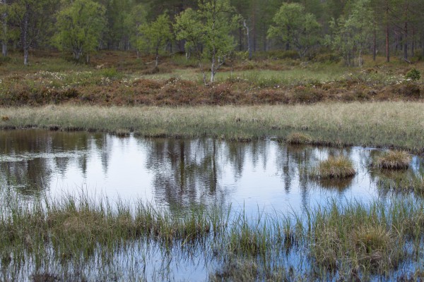 Patikka Luulammelle 2014-15