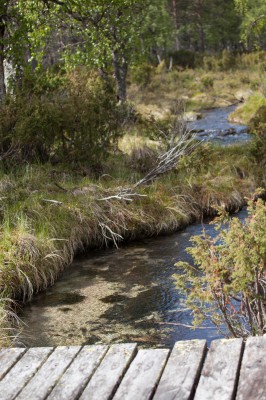 Patikka Luulammelle 2014-16
