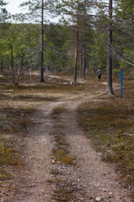 Patikka Luulammelle 2014-17