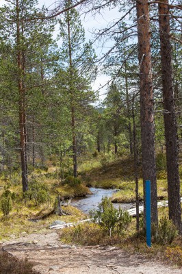 Patikka Luulammelle 2014-18