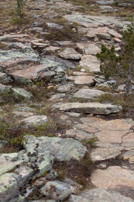 Patikka Luulammelle 2014-25