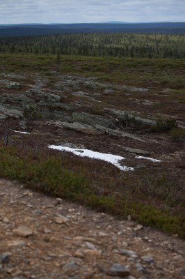 Patikka Luulammelle 2014-26