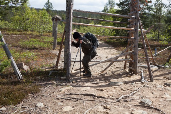 Patikka Luulammelle 2014-27