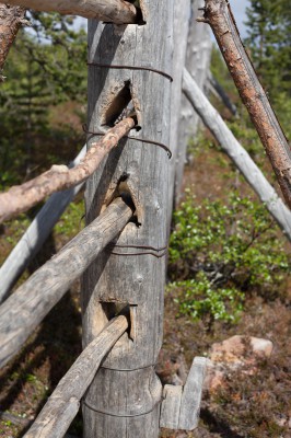 Patikka Luulammelle 2014-28