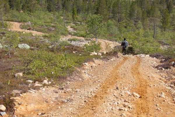 Patikka Luulammelle 2014-6