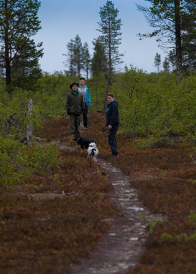 The Midnight Sun 2014-11