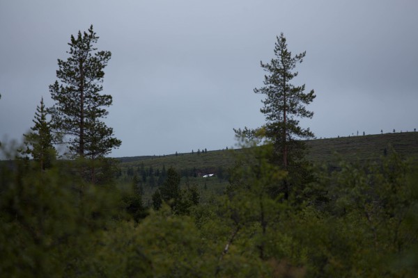 The Midnight Sun 2014-2-4