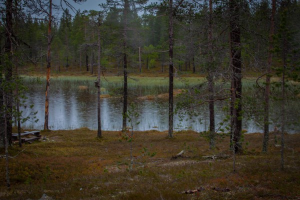 The Midnight Sun 2014-2-5