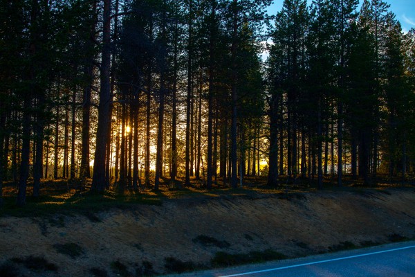 The Midnight Sun 2014