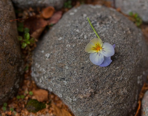 Fotomaraton 9_2014-4