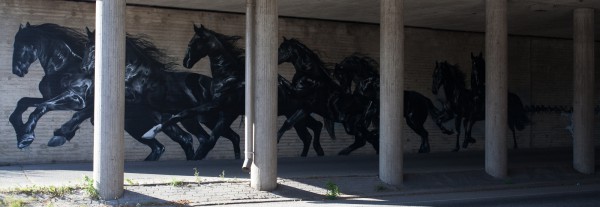 Fotomaraton 9_2014-7