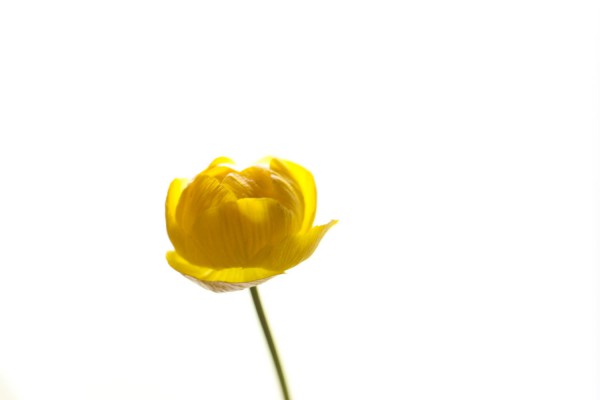 Kullero