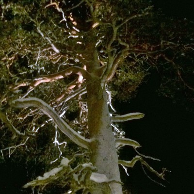 AmGd7ngIDjIYdGYxCjalxFyRRhL8IBTqwzXoUyr1UNpv