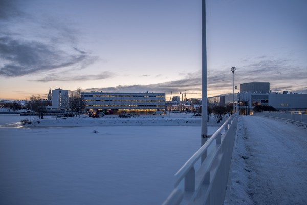 Helmikuun aamu