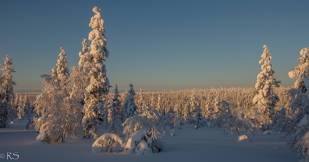 Perusasioiden äärellä