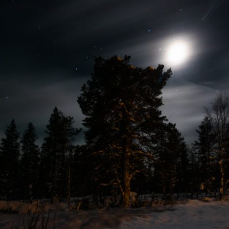 Yhteinen iltapäivä
