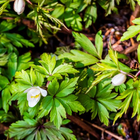 Kuva julkiseen tilaan – tai vaikka kotiin