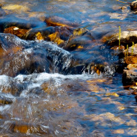 Mökillä ja metsässä