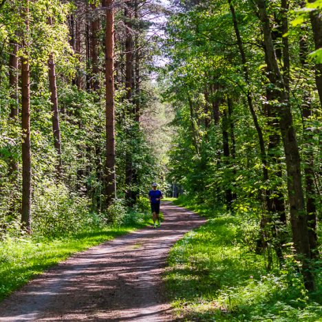 Muksujen kesälomapäivä kaupungissa