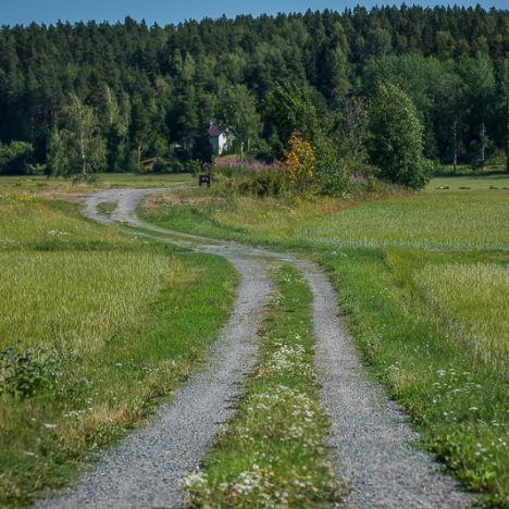 In vino veritas – ystävyys on hyväksi