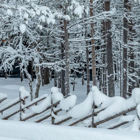 Taivaantulia päivin, illoin