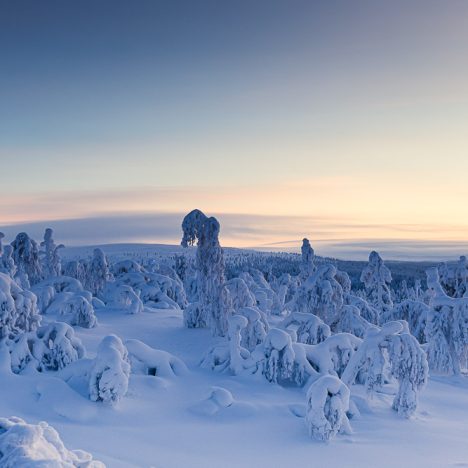 Onnistumisia – ja sitten ei…