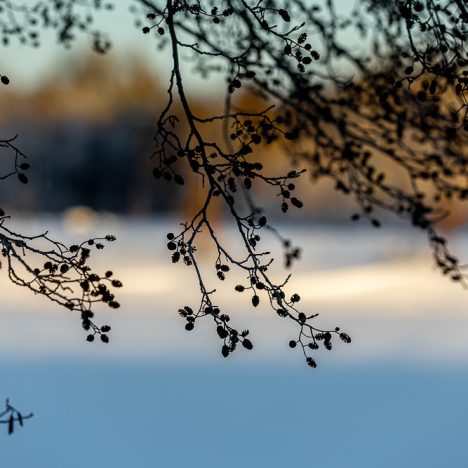 Simppeliä kotiruokaa