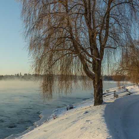 Toscana pöydässä –  ja mielessä