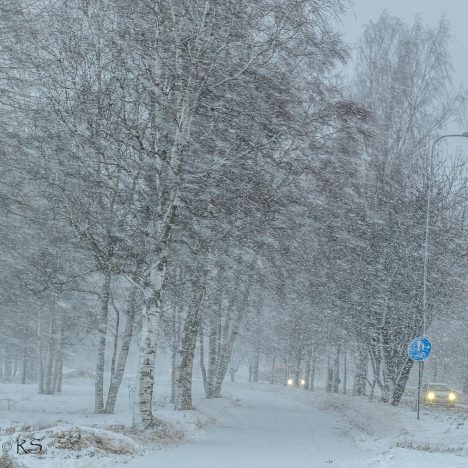 Hyvien asioiden päivä