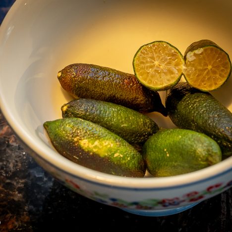 Tunturin juurelta ladulle