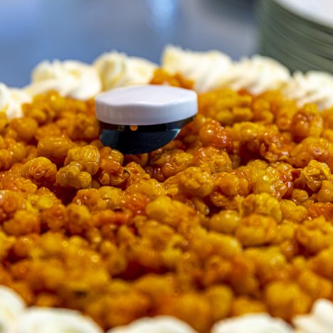 Tomaatin ja tryffelin sopuisa paritus