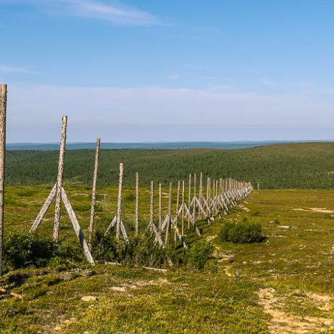 Pieniä ja suuria iloja