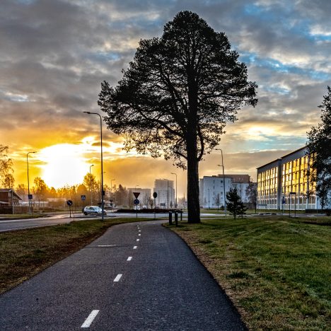 Viiniä, viraalihittiresepti ja glögiarvonta