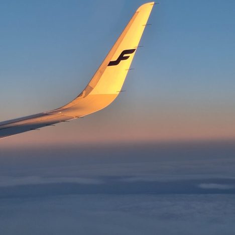 Rotkopatikalla ja juhlaillallisella