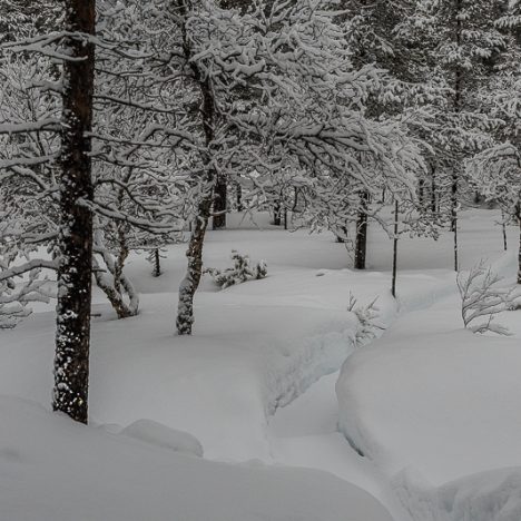 Asioita on suhteutettava