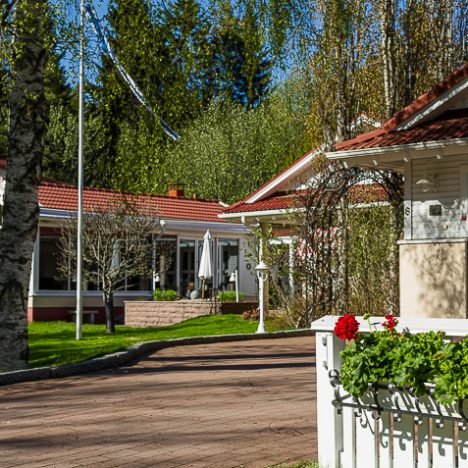 Puutarhoissa ja merenrannassa