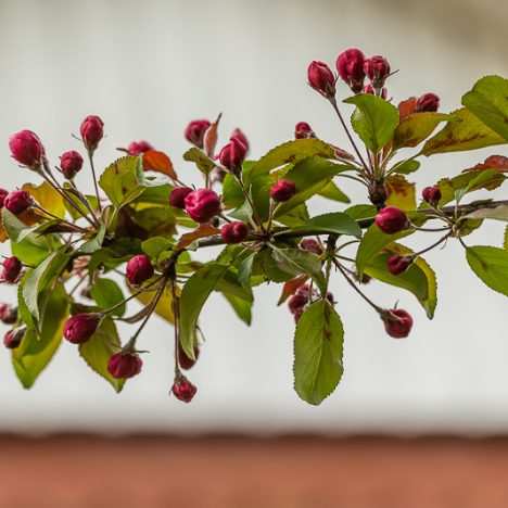 Hailuodossa – pitkästä aikaa