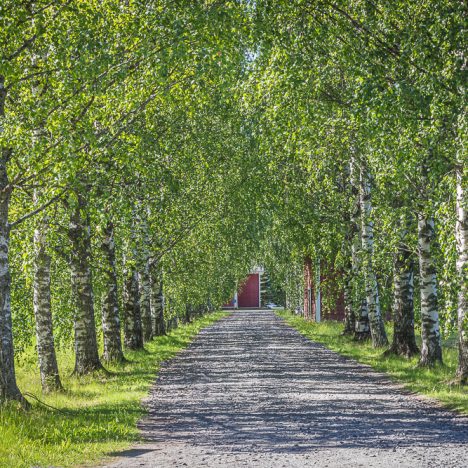 Kalaisten maistelujen jälkeen