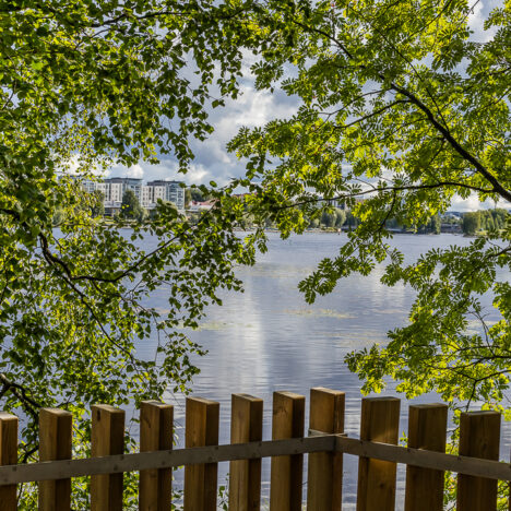 Kalaisten maistelujen jälkeen