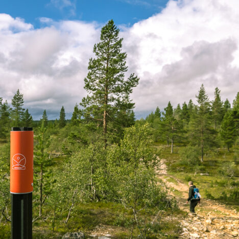Nattaset ja muuta pohjoista
