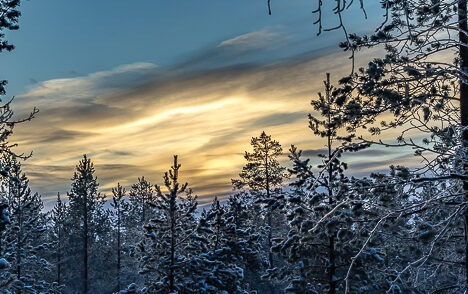 Ihan tavallinen torstai?