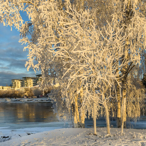 Ruokakulttuuria viikonloppuna – avajaisfestarit Oulu2026