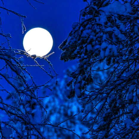 Kauppareissu Ivaloon